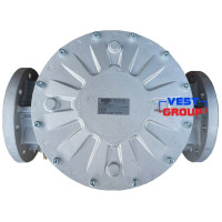 FM DN125 Фільтр газовий Madas