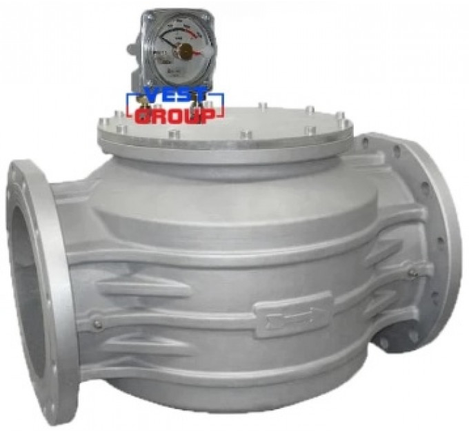 FM DN250 Фильтр газовый с индикатором Madas
