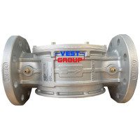 FM DN80 Фільтр газовий Madas