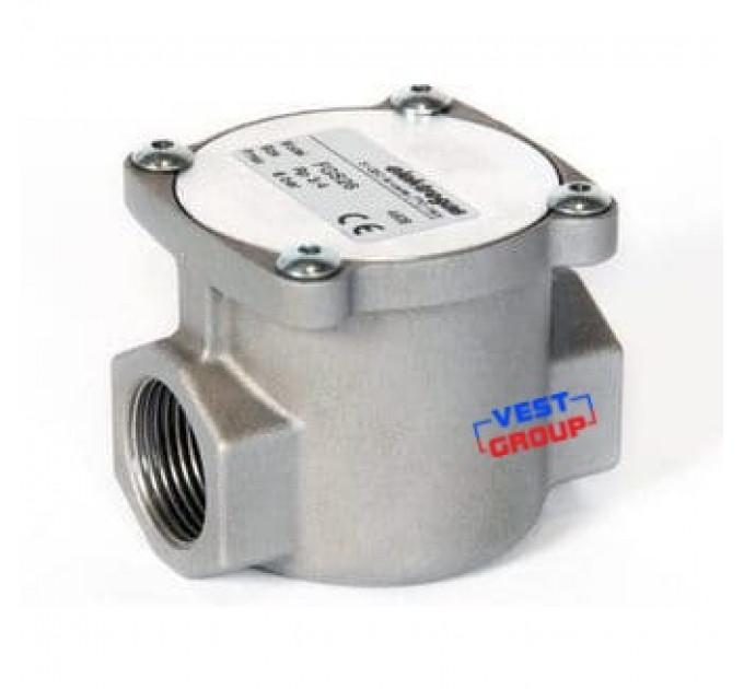 FG DN 20 Фільтр газовий різьбовий Elektrogas