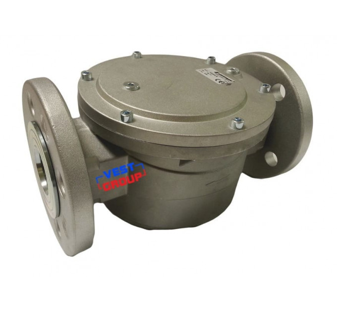 FG DN 50 Фильтр газовый фланцевый Elektrogas