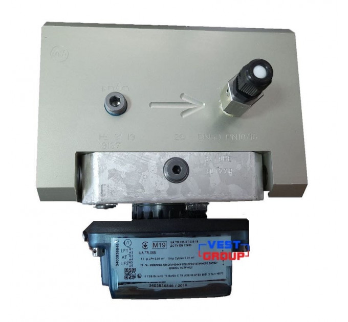 DELTA Compact G40 DN40 Газовый счетчик роторный Dresser Actaris (Itron)