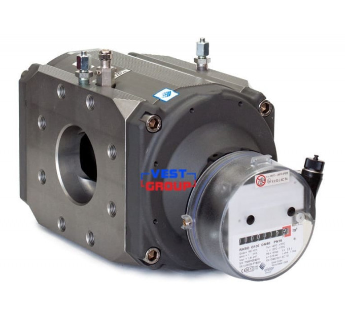 RABO G100 DN80 Газовый счетчик роторный Elster
