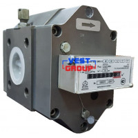 GMS G40 DN40 У2 Газовый счетчик роторный Арсенал