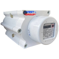 ТЕМП G65 DN80 Газовый счетчик роторный