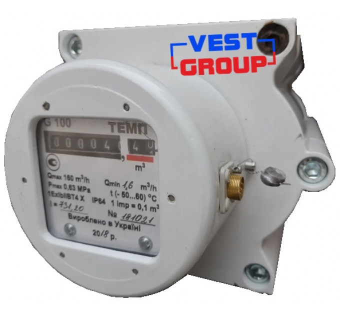 ТЕМП G100 DN100 Газовый счетчик роторный