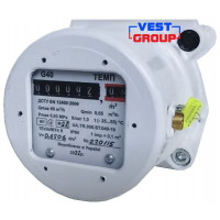 ТЕМП G40 DN40 Газовый счетчик роторный