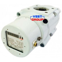 ТЕМП G40 DN50 Газовый счетчик роторный