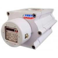 ТЕМП G65 DN100 Газовый счетчик роторный