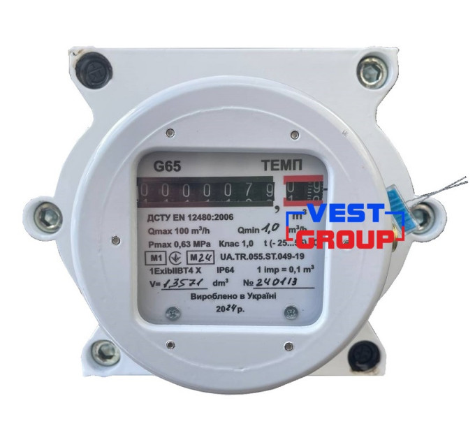 ТЕМП G65 DN80 Газовый счетчик роторный