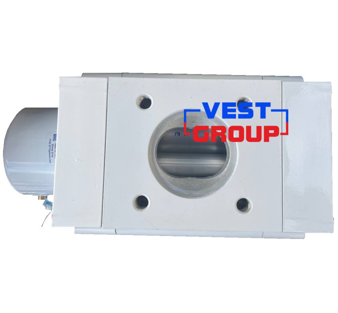 ТЕМП G65 DN80 Газовый счетчик роторный