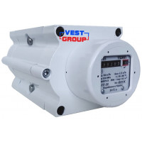 ТЕМП G160 DN100 Газовый счетчик роторный