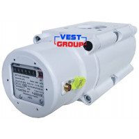 ТЕМП G40 DN40 Газовый счетчик роторный