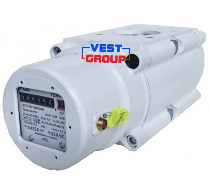 ТЕМП G40 DN40 Газовый счетчик роторный