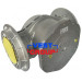 FMF F10210/F DN150 Фильтр газовый Pietro Fiorentini