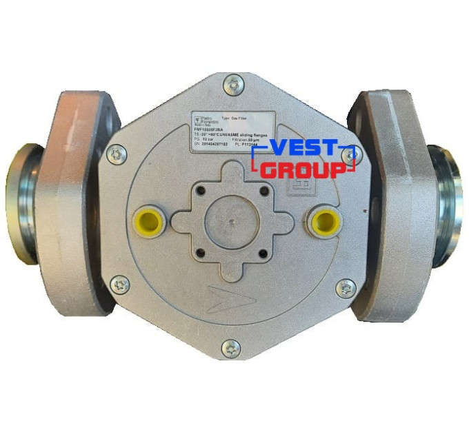FMF F10605/F DN40 Фильтр газовый Pietro Fiorentini