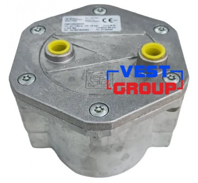 FMF F10603 DN25 Фильтр газовый Pietro Fiorentini