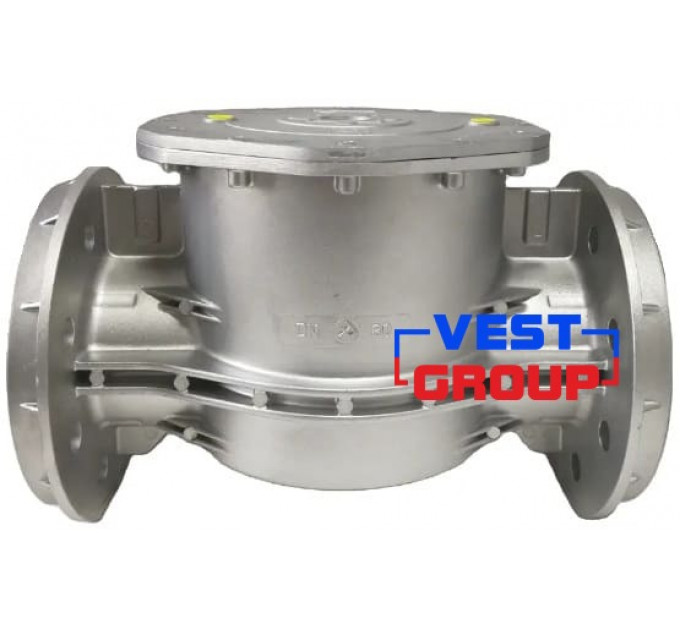 FMF F10609/F DN100 Фильтр газовый Pietro Fiorentini
