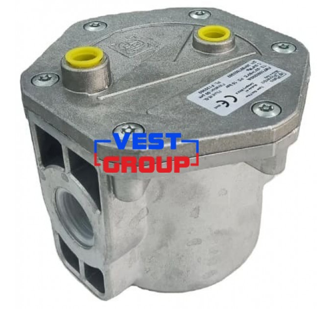 FMF F10602 DN20 Фильтр газовый Pietro Fiorentini