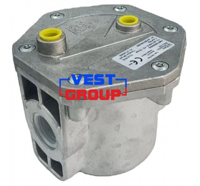 FMF F10603 DN25 Фильтр газовый Pietro Fiorentini