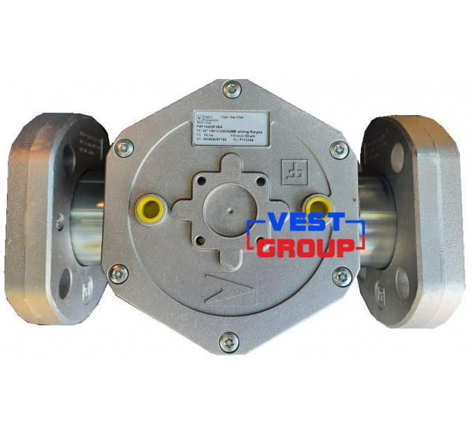 FMF F10603/F DN25 Фильтр газовый Pietro Fiorentini
