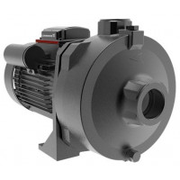 Консольно-моноблочный одноступенчатый насос Grundfos NS 6-30 CVBP